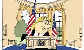 Vil den amerikanske republikken overleve Trump?